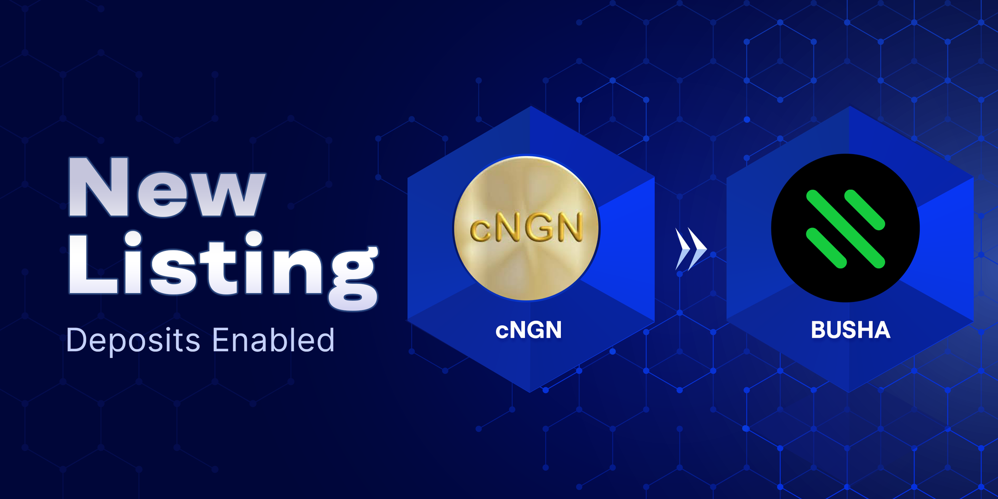 Busha Lists cNGN