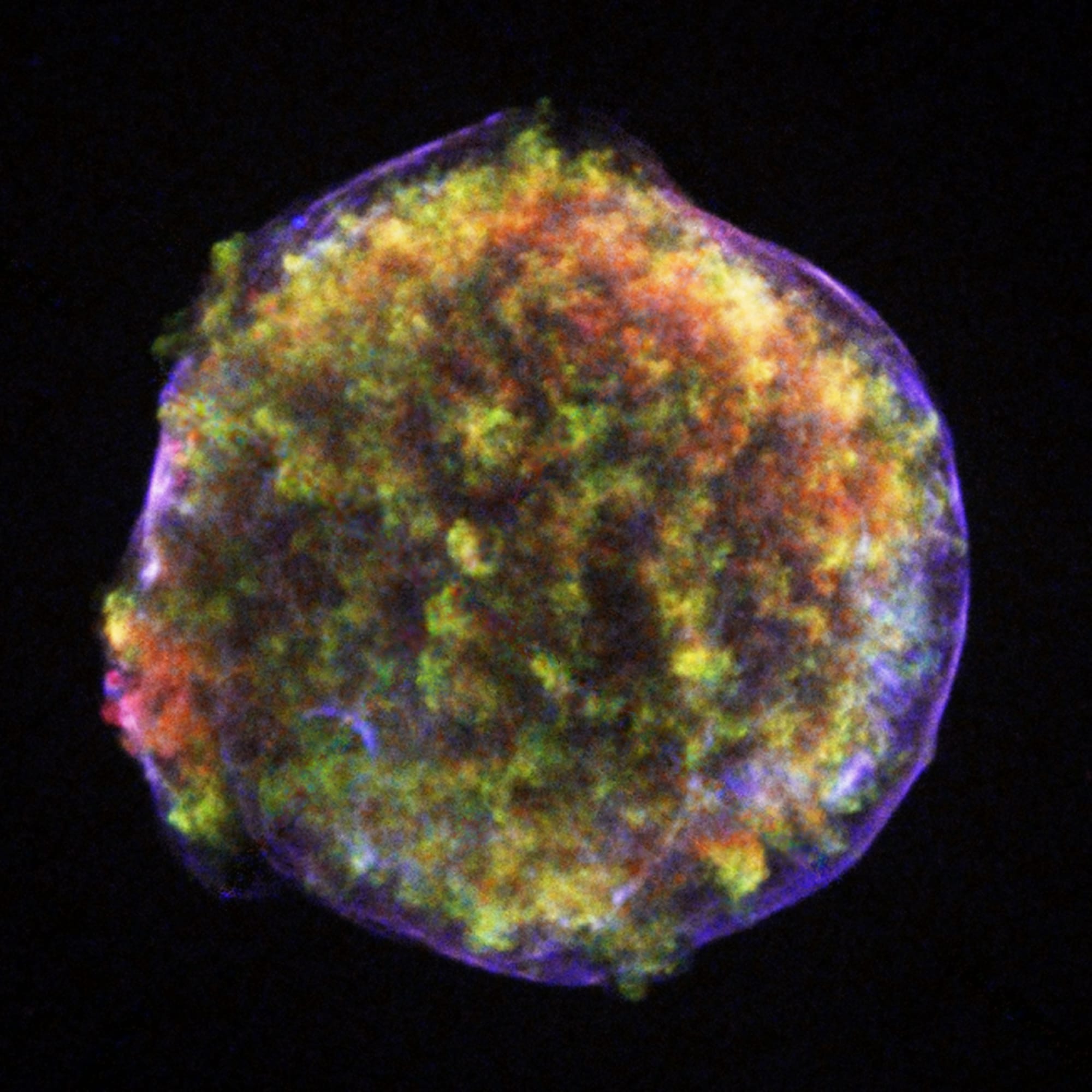 the remnant is a circular almost fussy structure that might remind viewer of moss