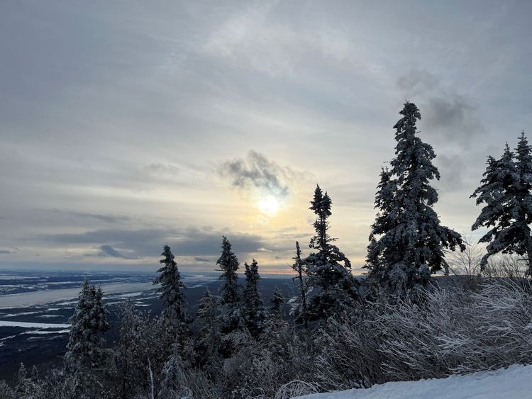 The Importance of Owning Your Ideas: Lessons from a Poet-Philosopher