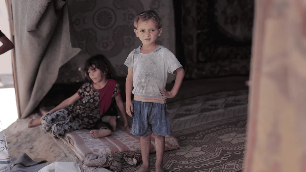Gaza Crisis: Diplomatic Stalemate as Annexation Calls Deepen Humanitarian Catastrophe