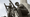 Future of War: How Technology Is Rewriting the Rules of Global Conflict