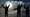 Terrorism's Evolution: From Al-Qaeda's Hierarchy to Digital Lone Wolves