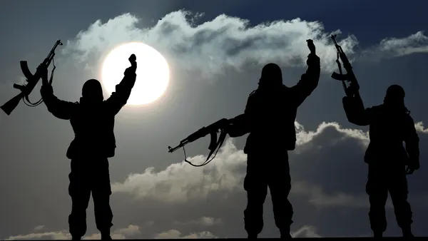 Terrorism's Evolution: From Al-Qaeda's Hierarchy to Digital Lone Wolves