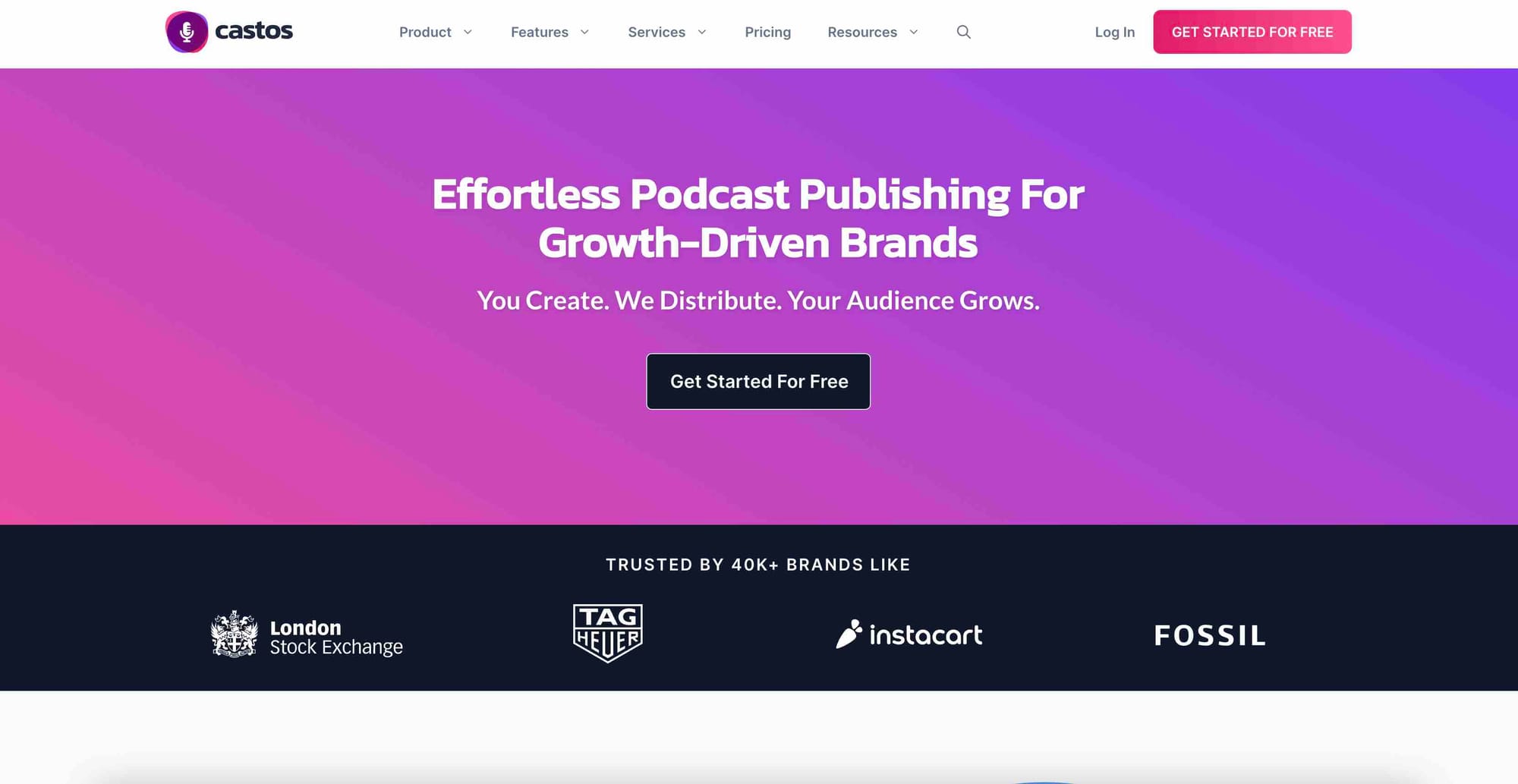 A shot of Castos' website homepage.