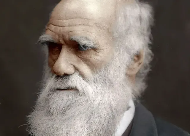 Creationism vs. Evolution: The Debate