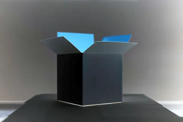 Unraveling the AI Black Box