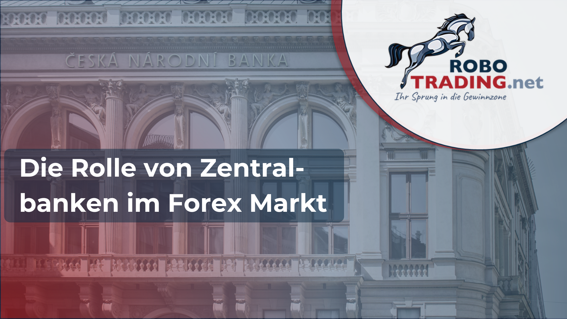 Die Rolle von Zentralbanken in Forex Märkten