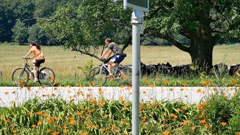 Bicycling Lake Champlain Islands