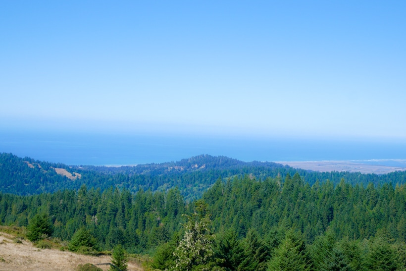 Lost Coast at 1250 feet