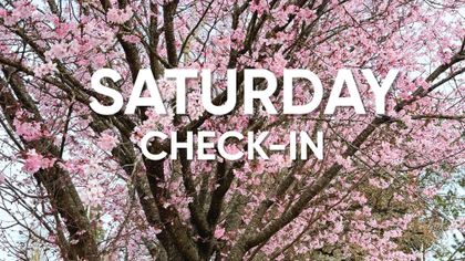 Saturday Check-In