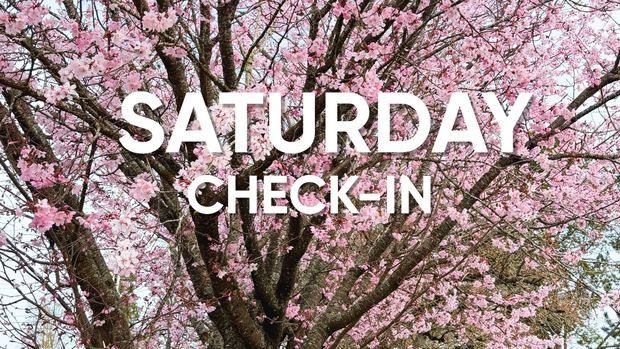 Saturday Check-In