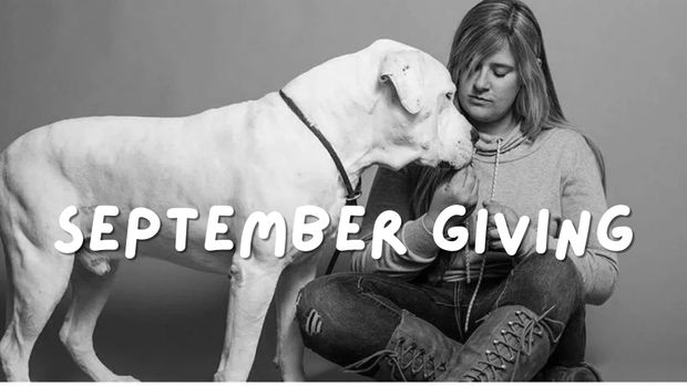 September Giving: $332 to Speranza Animal Rescue