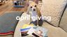 A Small Envelope, A Little Good: April’s Story Post Donation