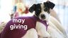 May Giving Update: $187 Donated to Seattle Humane Society