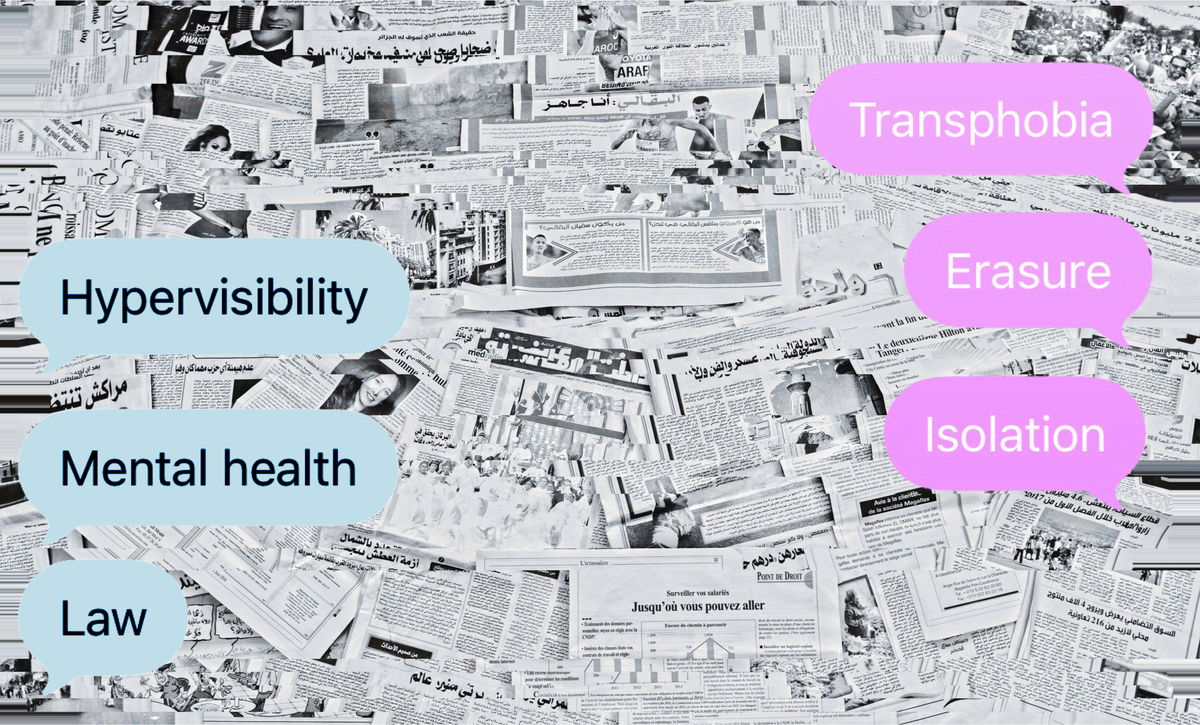 Seen But Not Heard: The Cost of Trans Hypervisibility