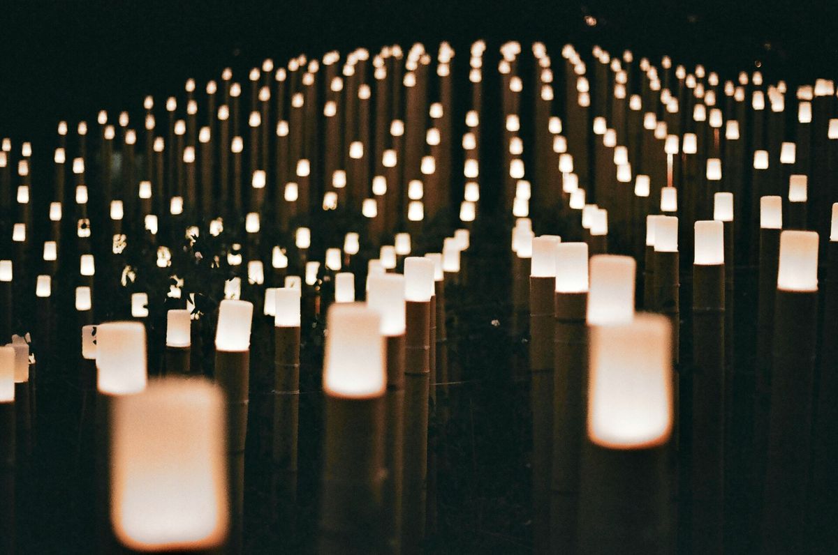 More Trans Americans Talk Transgender Day of Remembrance