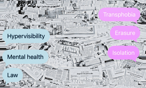 Seen But Not Heard: The Cost of Trans Hypervisibility